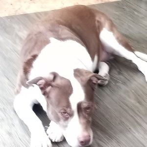 Meet your Posher, Gabe